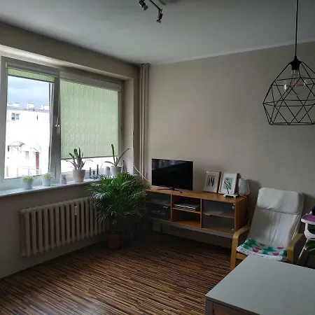Swietojanska 139 *